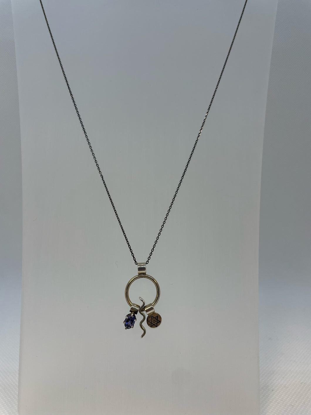 Joan Z Horn Necklace